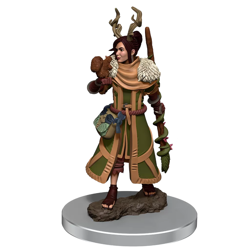 D&D Icons of the Realms: Human Druid