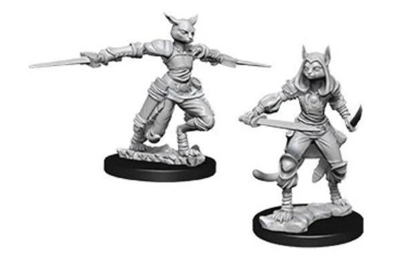 D&D Nolzur's Marvelous Miniatures: Tabaxi Rogue (Female)