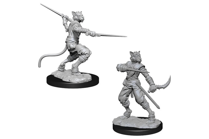 D&D Nolzur's Marvelous Miniatures: Tabaxi Rogue (Male)