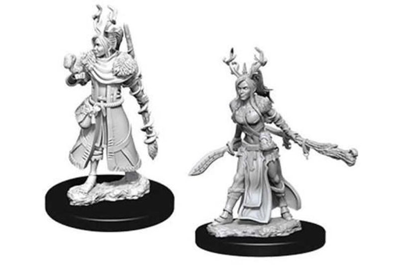 D&D Nolzur's Marvelous Miniatures: Human Druid (Female)