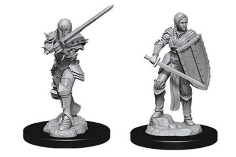 D&D Nolzur's Marvelous Miniatures: Human Fighter (Female)