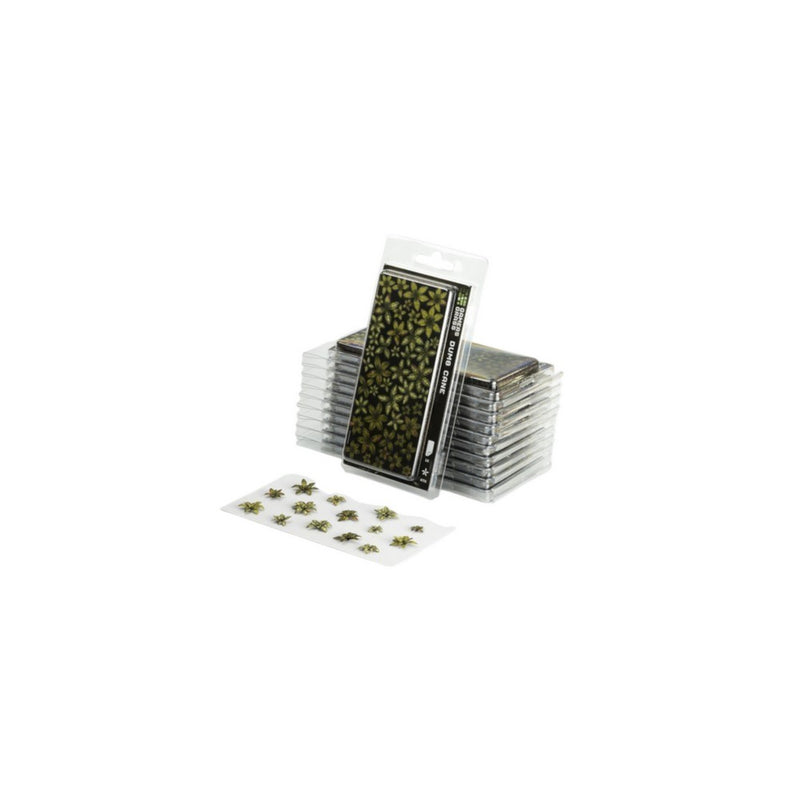 Gamers Grass - Laser Plants - Dumb Cane