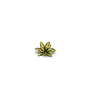 Gamers Grass - Laser Plants - Dumb Cane