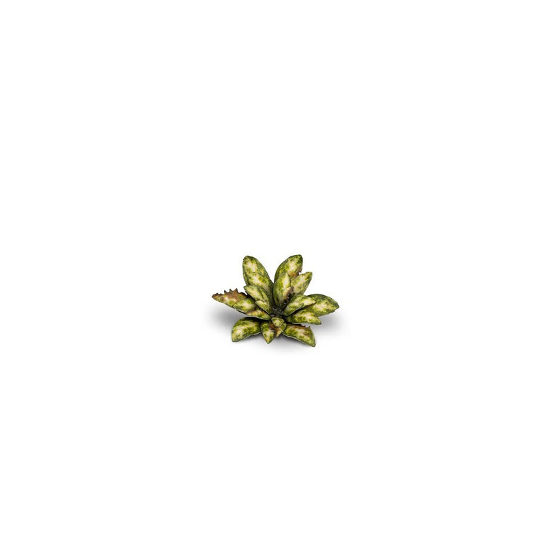 Gamers Grass - Laser Plants - Dumb Cane