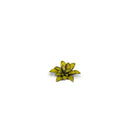 Gamers Grass - Laser Plants - Dumb Cane