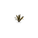 Gamers Grass - Laser Plants - Agave