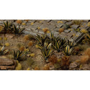 Gamers Grass - Laser Plants - Agave