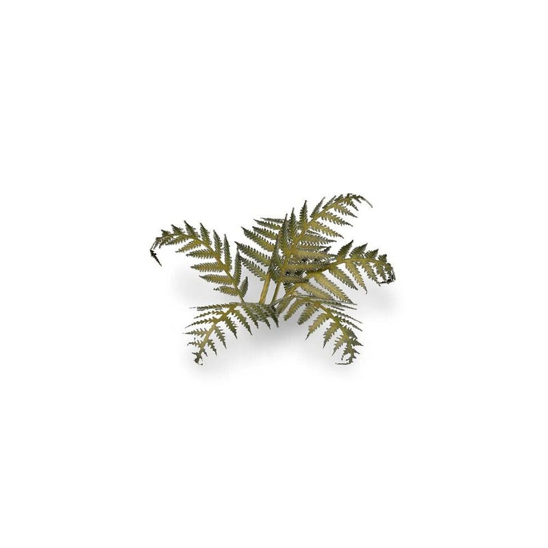 Gamers Grass - Laser Plants - Bracken