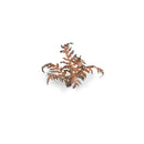 Gamers Grass - Laser Plants - Dry Bracken
