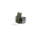 Gamers Grass - Laser Plants - Plantain Lily