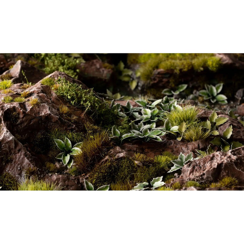 Gamers Grass - Laser Plants - Plantain Lily