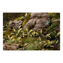 Gamers Grass - Laser Plants - Deer Fern