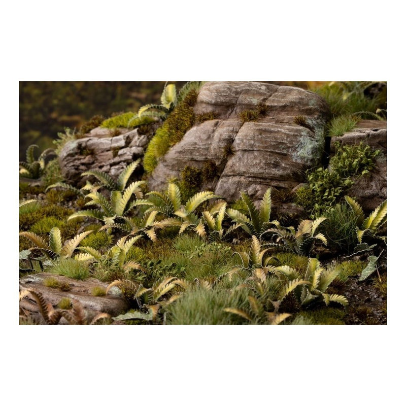 Gamers Grass - Laser Plants - Deer Fern