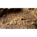 Gamers Grass - Grass Tufts - Tiny Beige