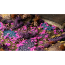 Gamers Grass - Grass Tufts - Tiny Alien Neon