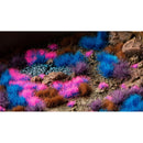 Gamers Grass - Tuft Sets - Mystic Nebulae Set