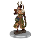 D&D Icons of the Realms: Human Druid