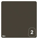 Warhammer Tone Pro: Dataslate Grey (12mL)