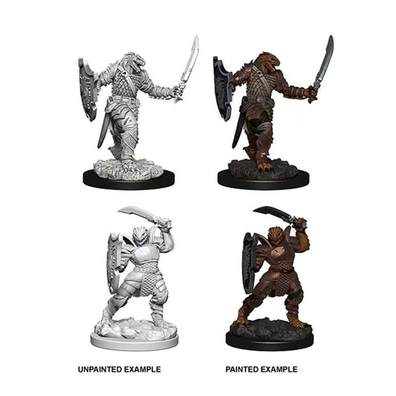 D&D Nolzur’s Marvelous Miniatures Marvelous Minis: Dragonborn Female Paladin