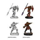 D&D Nolzur’s Marvelous Miniatures Marvelous Minis: Dragonborn Male Fighter