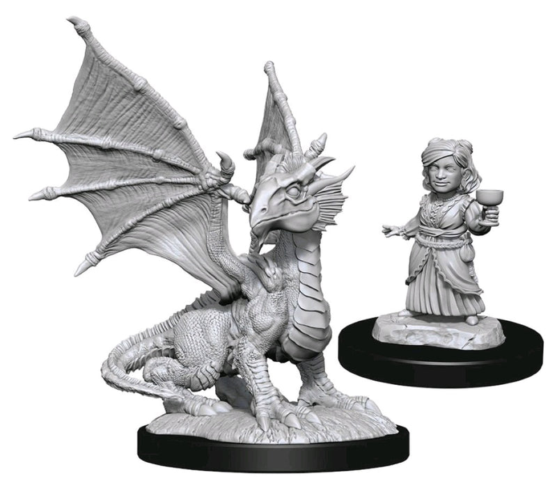 D&D Nolzur's Marvelous Miniatures: Silver Dragon Wyrmling & Halfling Dragon Friend