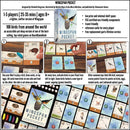 Wingspan Pocket