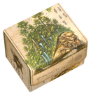 Ultimate Guard Sidewinder 100+ Xenoskin - Avatar: The Last Airbender