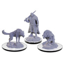 D&D Nolzur's Marvelous Miniatures Loup Garou