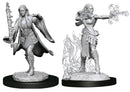 D&D Nolzur's Marvelous Miniatures Multiclass Warlock + Sorcerer