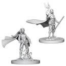 D&D Nolzur's Marvelous Miniatures Elf Druid