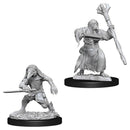 D&D Nolzur's Marvelous Miniatures Kenku Adventurers