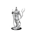 D&D Nolzur's Marvelous Miniatures Storm Giant