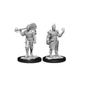 D&D Nolzur's Marvelous Miniatures Half-Elf Bard