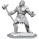 D&D Nolzur's Marvelous Miniatures Cyclops