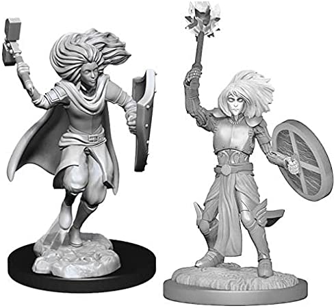 D&D Nolzur's Marvelous Miniatures Changeling Cleric