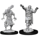 D&D Nolzur's Marvelous Miniatures Scarecrow & Stone Cursed