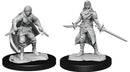 D&D Nolzur's Marvelous Miniatures Half-Elf Rogue