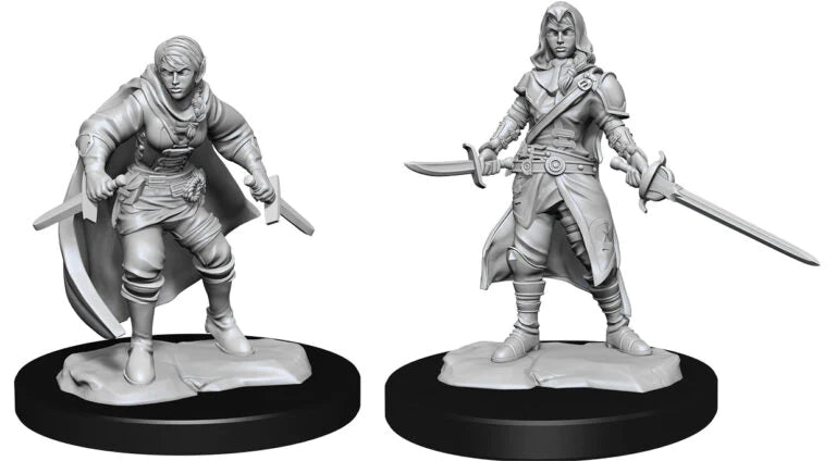 D&D Nolzur's Marvelous Miniatures Half-Elf Rogue
