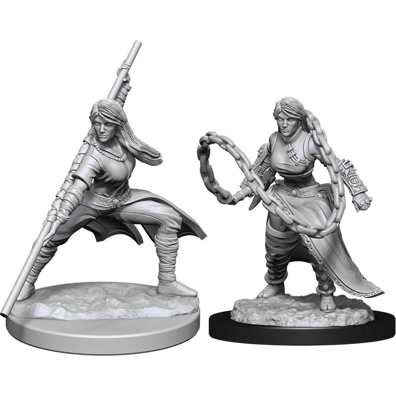D&D Nolzur's Marvelous Miniatures Human Monk