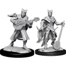 D&D Nolzur's Marvelous Miniatures Tiefling Bard
