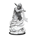 D&D Nolzur's Marvelous Miniatures Djinni