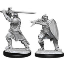D&D Nolzur's Marvelous Miniatures Human Paladin
