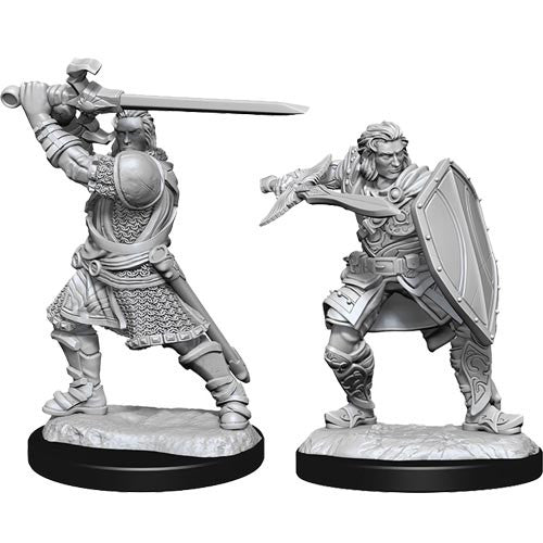 D&D Nolzur's Marvelous Miniatures Human Paladin