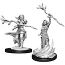 D&D Nolzur's Marvelous Miniatures Human Druid