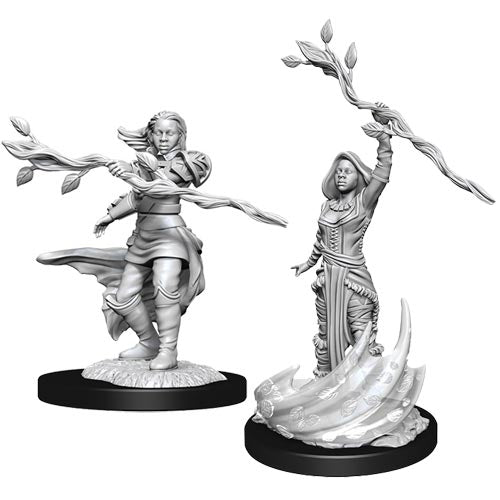D&D Nolzur's Marvelous Miniatures Human Druid