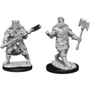 D&D Nolzur's Marvelous Miniatures Human Barbarian