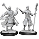 D&D Nolzur's Marvelous Miniatures Half-Elf Wizard