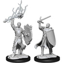 D&D Nolzur's Marvelous Miniatures Half-Elf Paladin