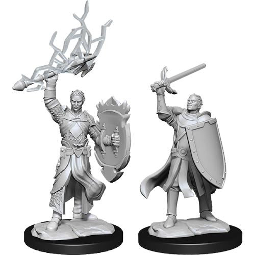 D&D Nolzur's Marvelous Miniatures Half-Elf Paladin