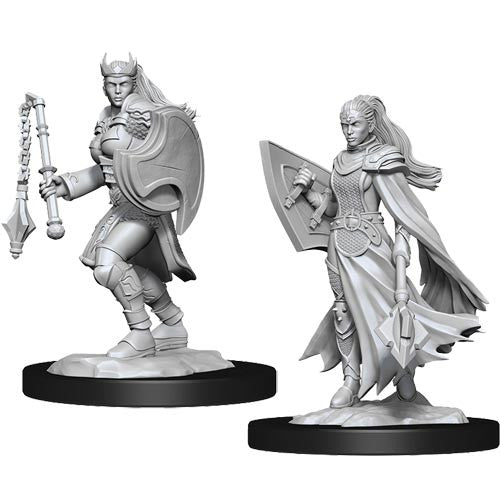 D&D Nolzur's Marvelous Miniatures Kalashtar Cleric